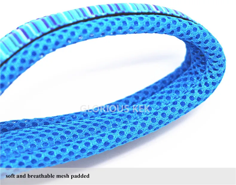 Dog Leash (9)