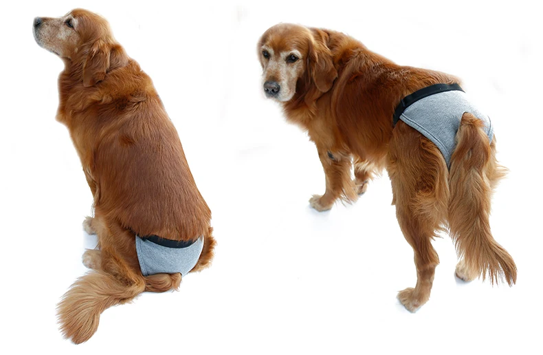 DogLemi женские гигиенические однотонные подгузники для собак и щенков короткие