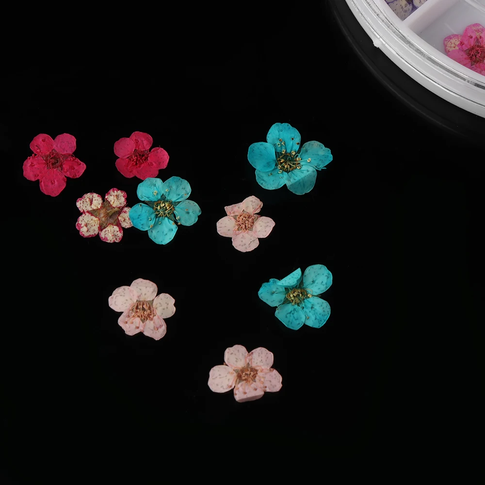 36 шт/колесо 3D Цветочный дизайн ногтей стикер сушеные советы из серии «сделай сам» акриловый элегантный дизайн ногтей украшение для маникюра ногтей наклейки ювелирные изделия