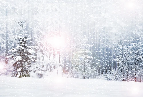 HUAYI christmas backdrop for photography gladsbuy lovely snowman, christmas backdrop for photography XT4501