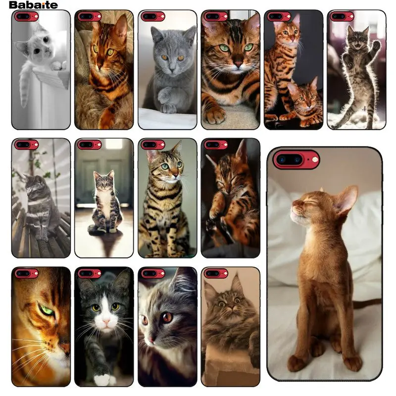 Babaite البنغال القط الملونة غطاء ذكي جراب هاتف ل ابل اي فون 5 5 S SE 6 6 S 7 8 زائد X XS ماكس XR الهواتف المحمولة حالة