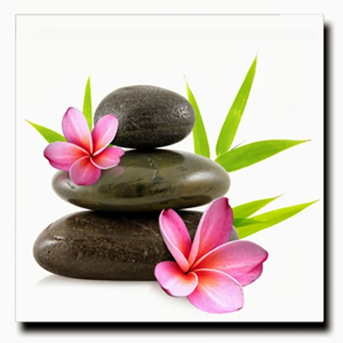 a zen images blogs dexter