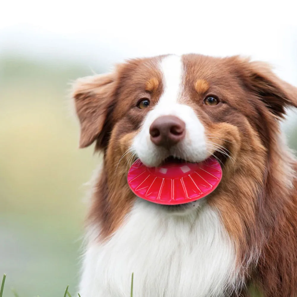 

1PCS pet supplies dog toy snacks bite drop-proof outdoor dog training UFO dog toy 2018 puppy training toy flying saucer *C