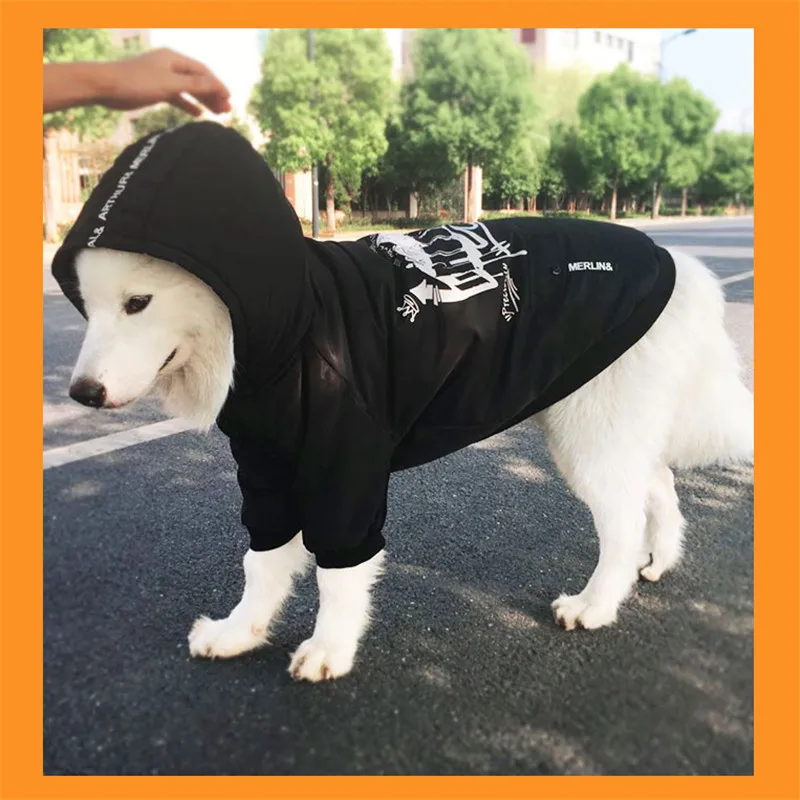Labrador large dog clothes winter (7)