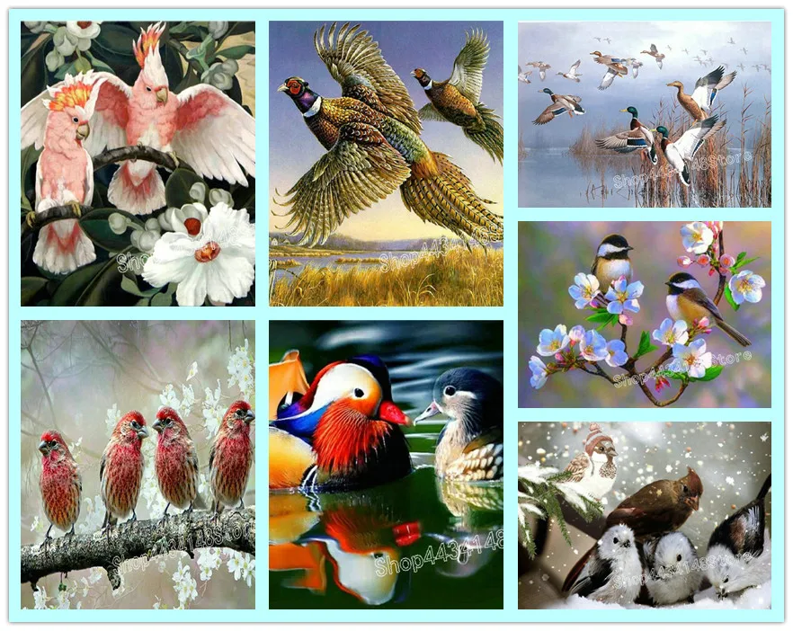 

Full square / round drill diamond painting bird snow scene sparrow parrot 3D diamond embroidery mosaic decorative painting
