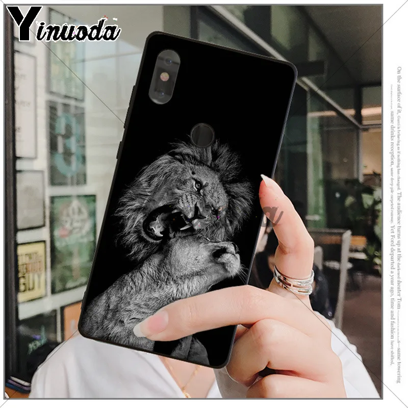 Animals The lion