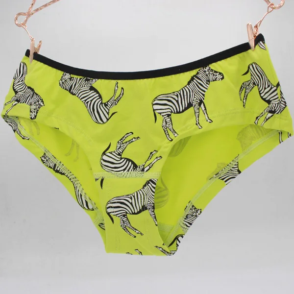 Hot Sale 2017 New Cute A zebra Print Underwear Women's Hipster Bragas