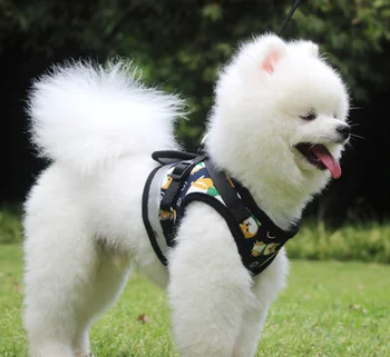 

Dog Harness Leashes Set Walking Dog Pet Supplies