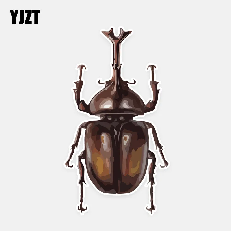 

YJZT 6.9*12.5CM Coolest Colored Flight Beetle Decor Car Stickers High Quality Personalized 11A0620