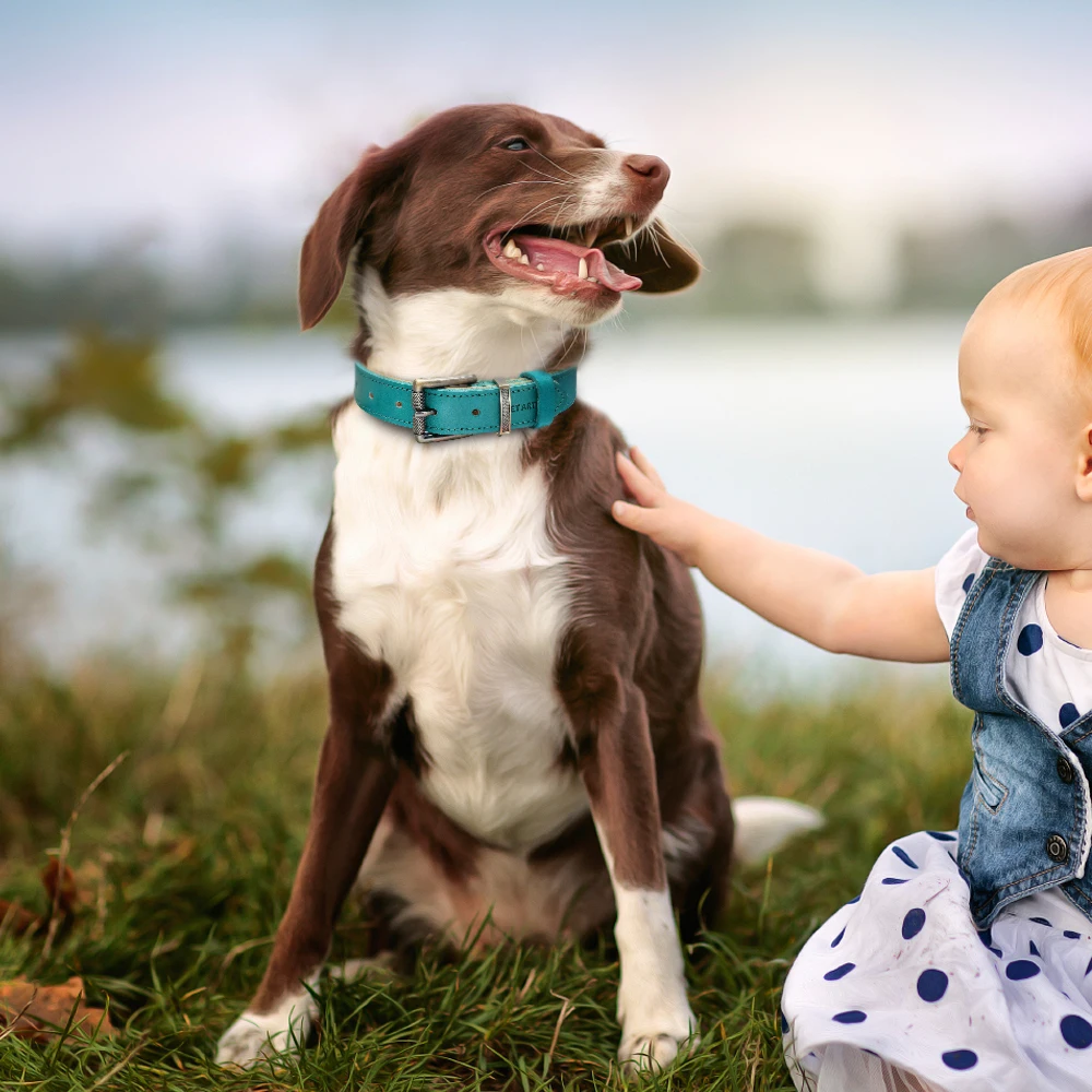 Кожаный ошейник для собак из натуральной кожи ошейники для собак Pitbull маленький большой ошейник с пряжкой для средних собак Coleira Para Cachorro