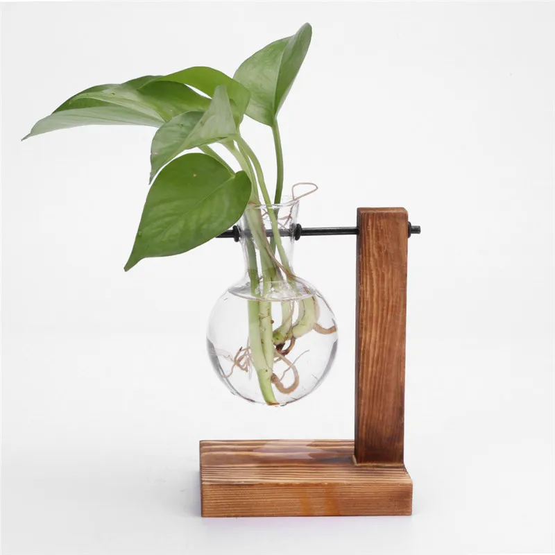 Bonsai Flower Pot Glass and Wood Vase Planter Sadoun.com