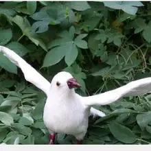 WYZHY изысканное ремесло украшения, чистая ручная искусство отделки перьями, голубь перо животных, крылья 18X30X16 см