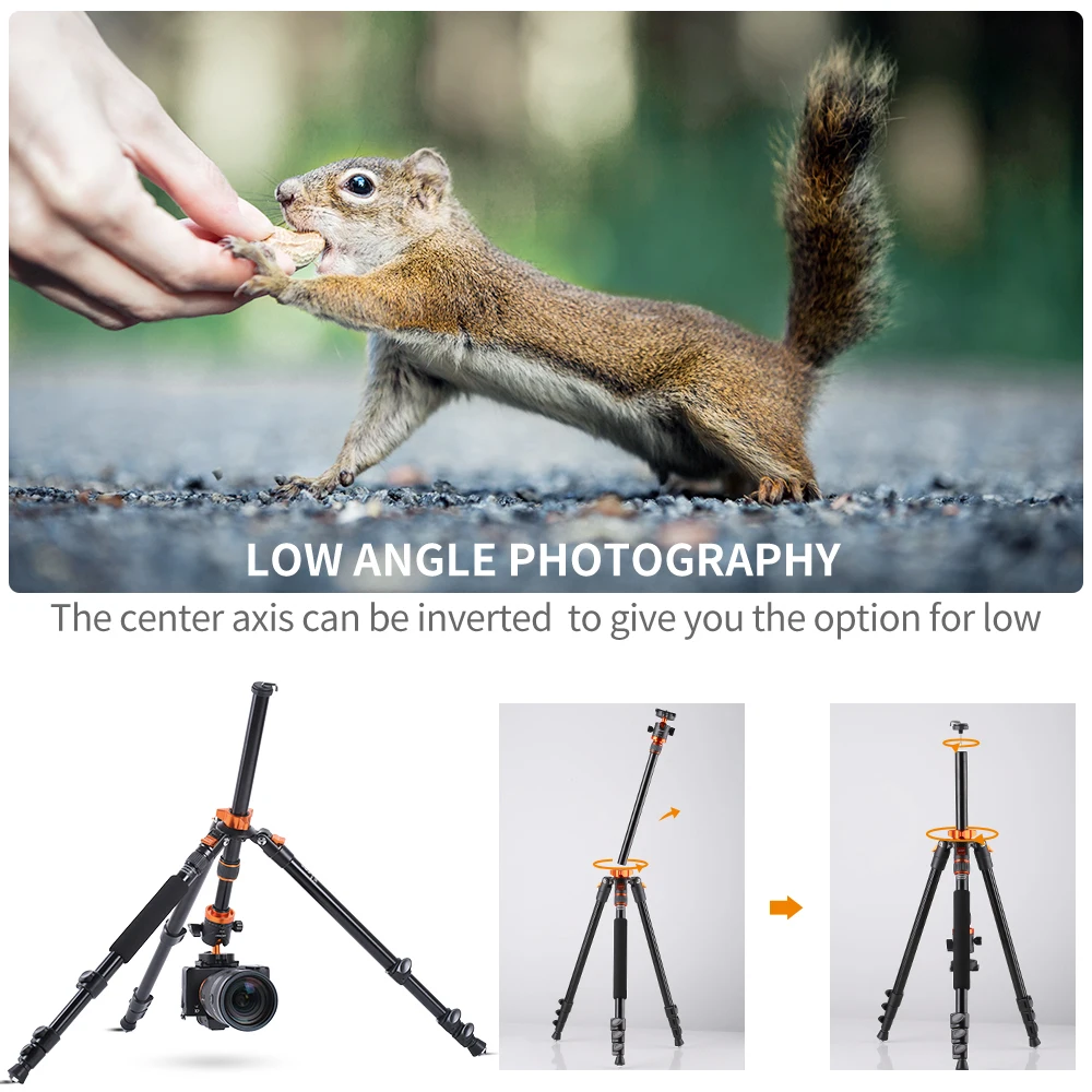 K & F Concept DSLR Ʈ ˷̴  80.7 ġ ī޶ ﰢ, 360       ۾ 10kgs ε