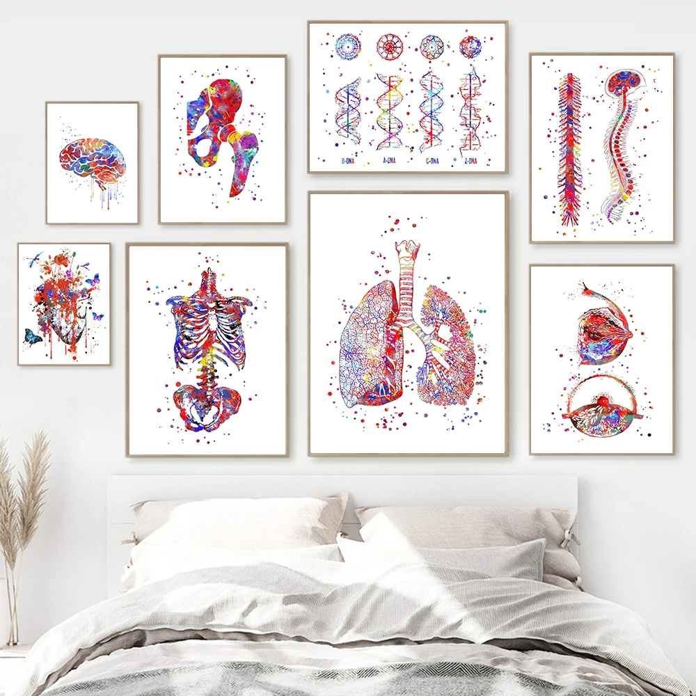 Arte de anatomía, corazón humano, cerebro, pulmones, pintura en lienzo, carteles nórdicos e impresiones, imágenes de pared para decoración de oficina y Doctor