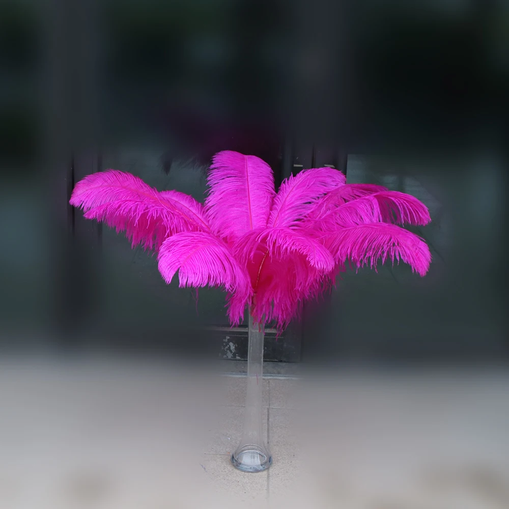 1 鸵大杆 60-65cm 3