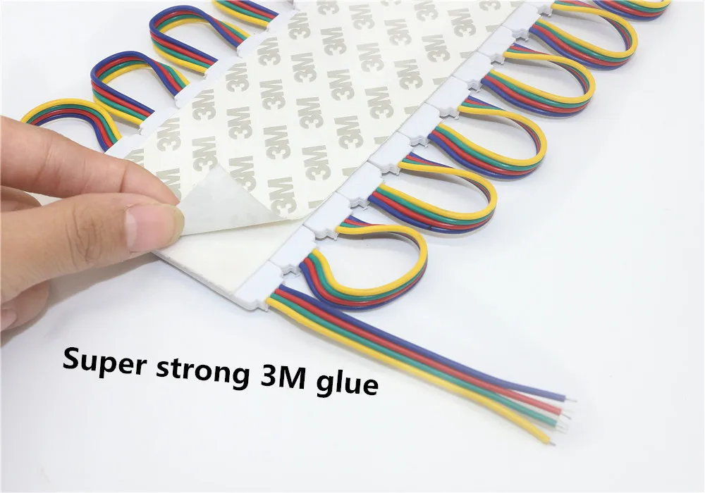 IMG_5391_副本_副本