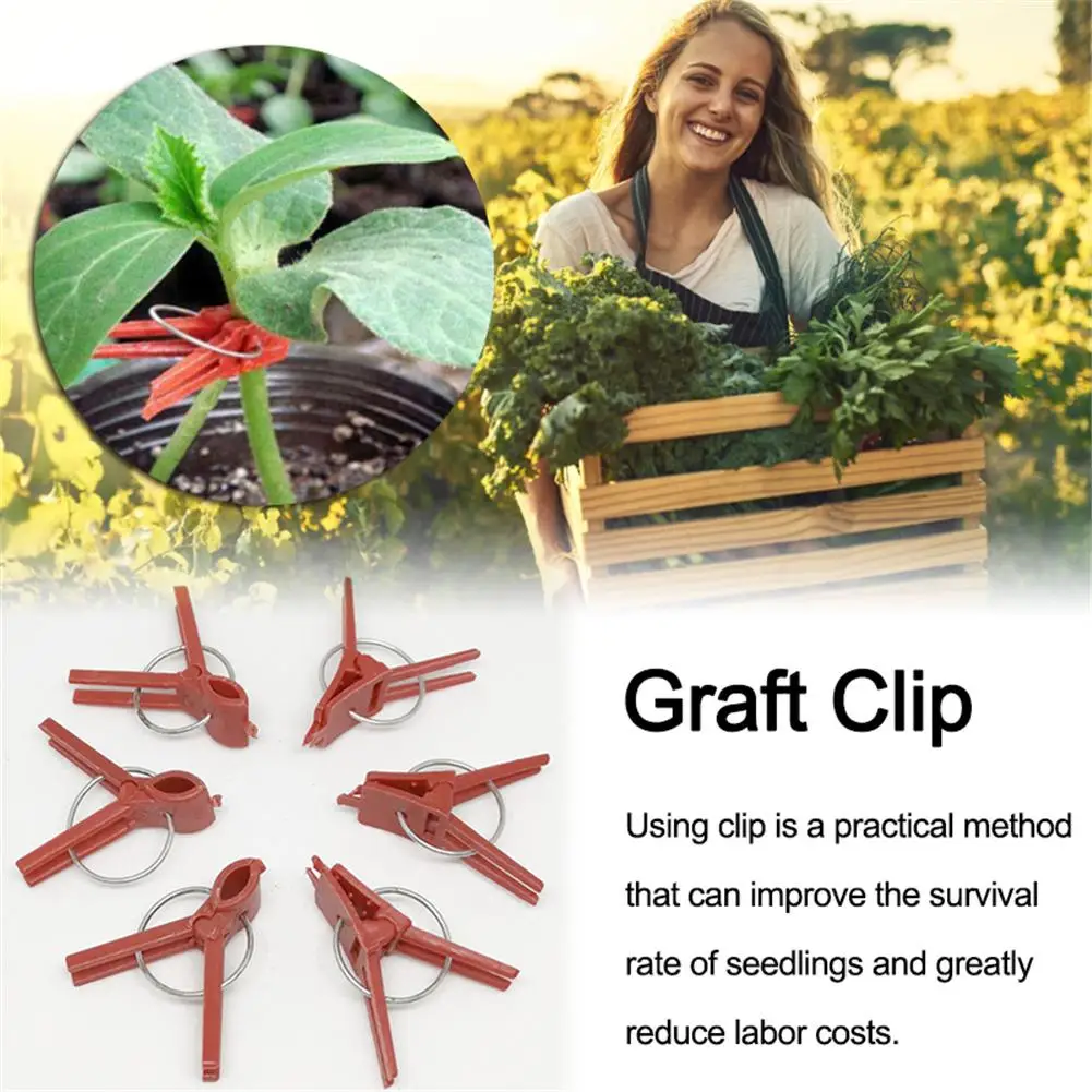 50pcs Plants Graft Clips Plastic Garden Tools for Cucumber Eggplant Watermelon Round Mouth Flat Mouth Anti-fall Clamp