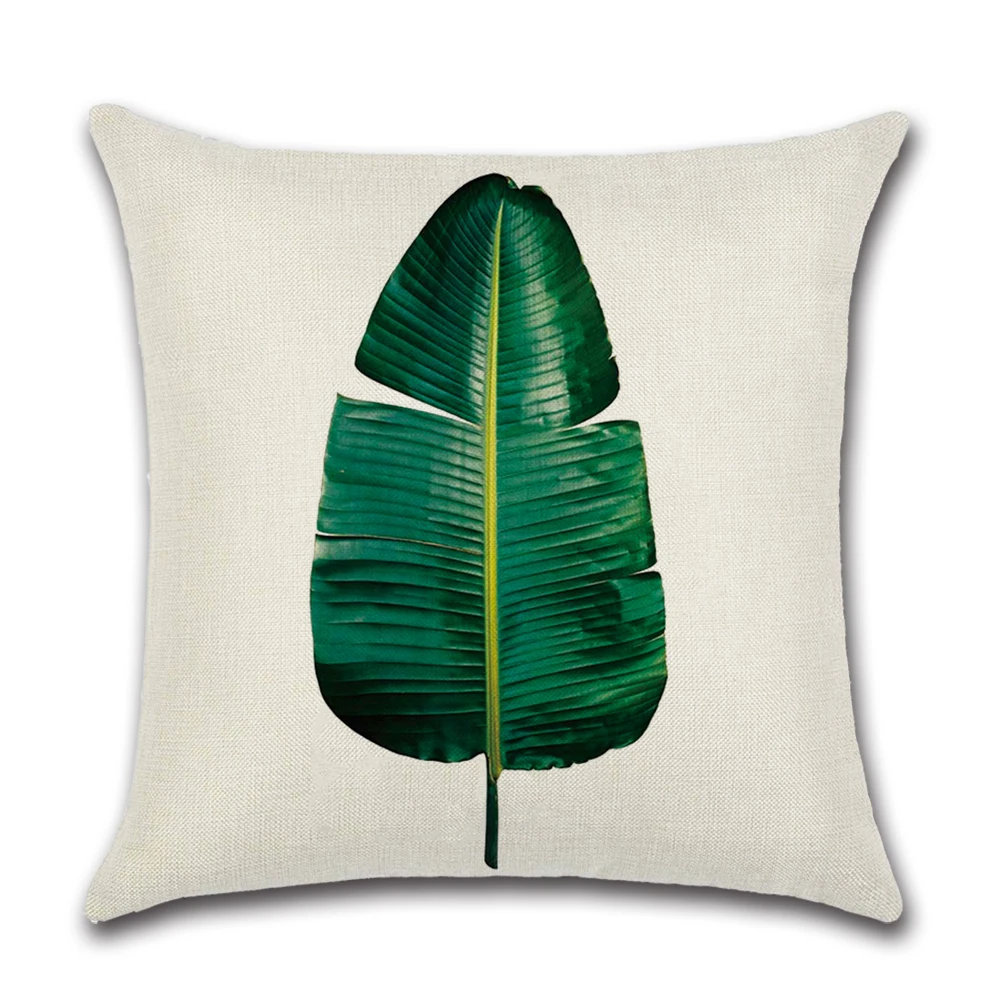 1545720622951_热带植物02