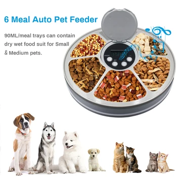 

Pet Dog Cat Bowl Feeder Bath Pets Accessories Pet Supplies 6 Grids Multi-meal Automatic Play Music Feeders Bowls For Dogs Cats