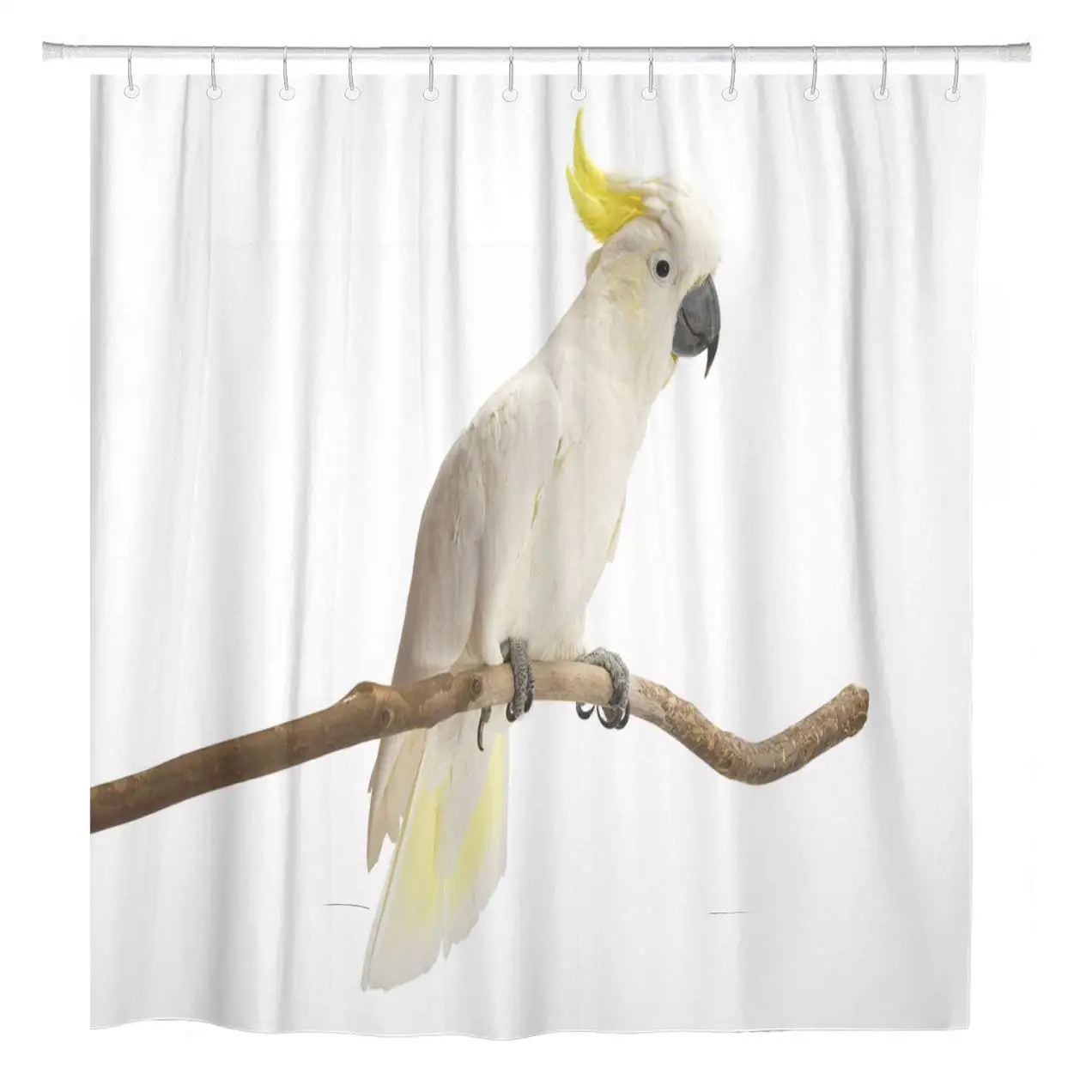 

72"x72" Shower Curtain Waterproof Polyester Fabric Yellow Sulphur Crested Cockatoo Cacatua Galerita Perched in Front Decorative