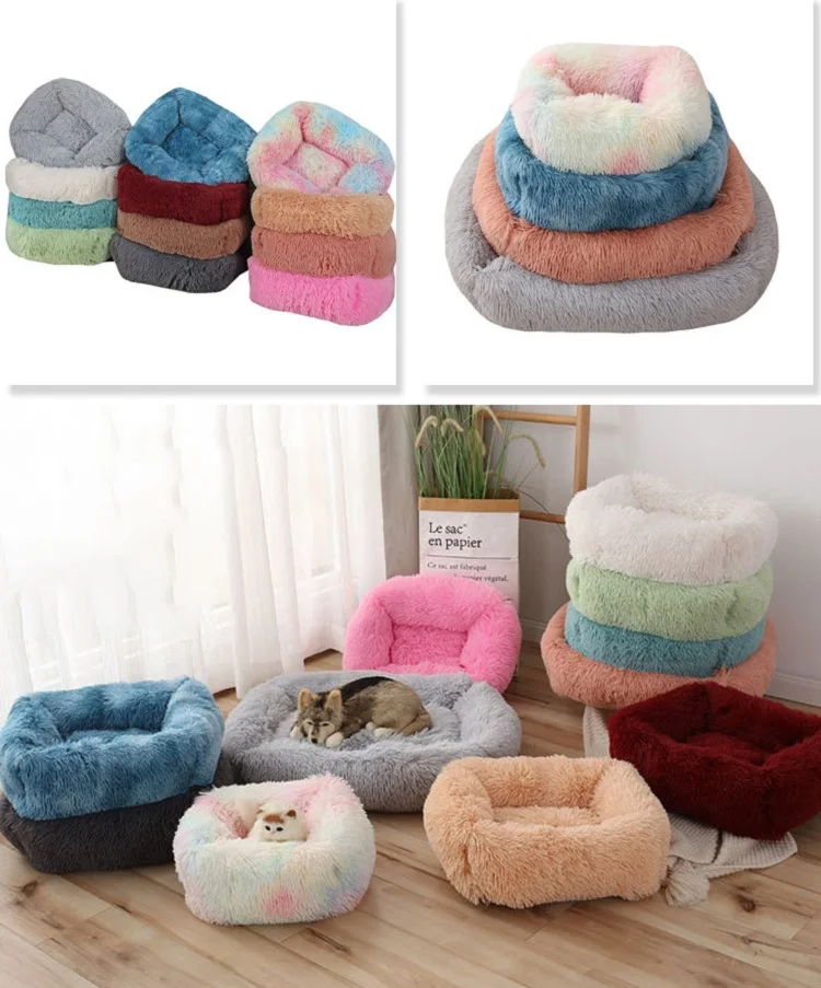 19451770066_1012086256