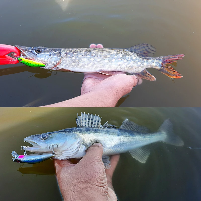 Приманка рыбалки TSURINOYA для мелкого диапазона Minnow DW71 64 мм 6 г Seabass плавающая