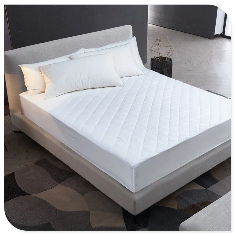 9562263684_1760682181