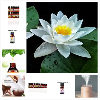 

10ml Natural Water-soluble Air Freshening Essential Oils for Aromatherapy Diffusers Crown of Thorns Skin Care Essential Oil TSLM
