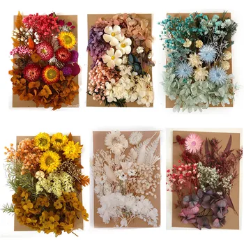 

DIY Dried Flowers Resin Mold Fillings UV Expoxy Flower for Nail Art Pressed Flowers for Silicone Molds Home Decor Handicraft