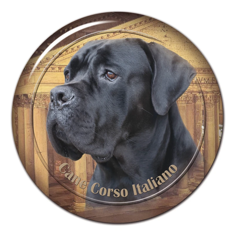 Adesivo Auto Cane Corso – 22 Cm, Vinile Nero Effetto Strappato, Riflettente E Impermeabile (2 Pezzi)