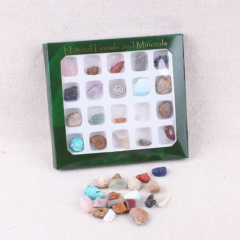 

20pcs/box Natural Stones and Minerals Fossils Minerals Set Natural Specimen Organic Polished Healing Crystal Gemstone Nice Gift
