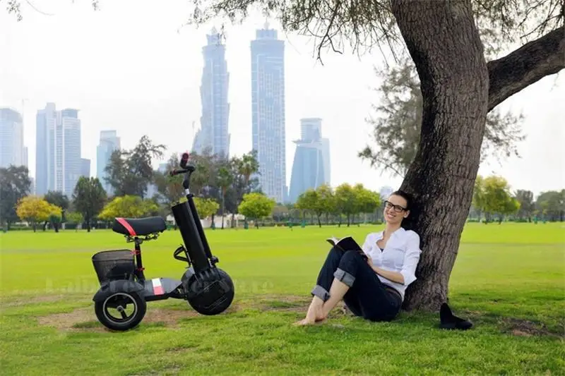 Daibot 3 Wheel Electric Scooter Self Balancing Scooters 10 Inch 500W 60V Portable Electric Unicycle Scooter For Adults           (16)