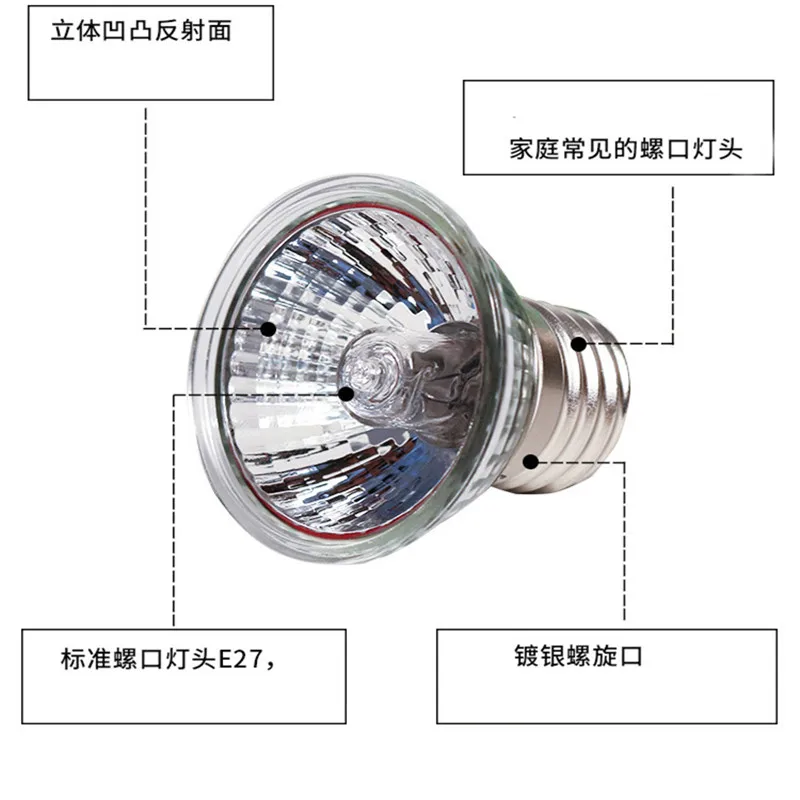 11033461720_51623344 (1)