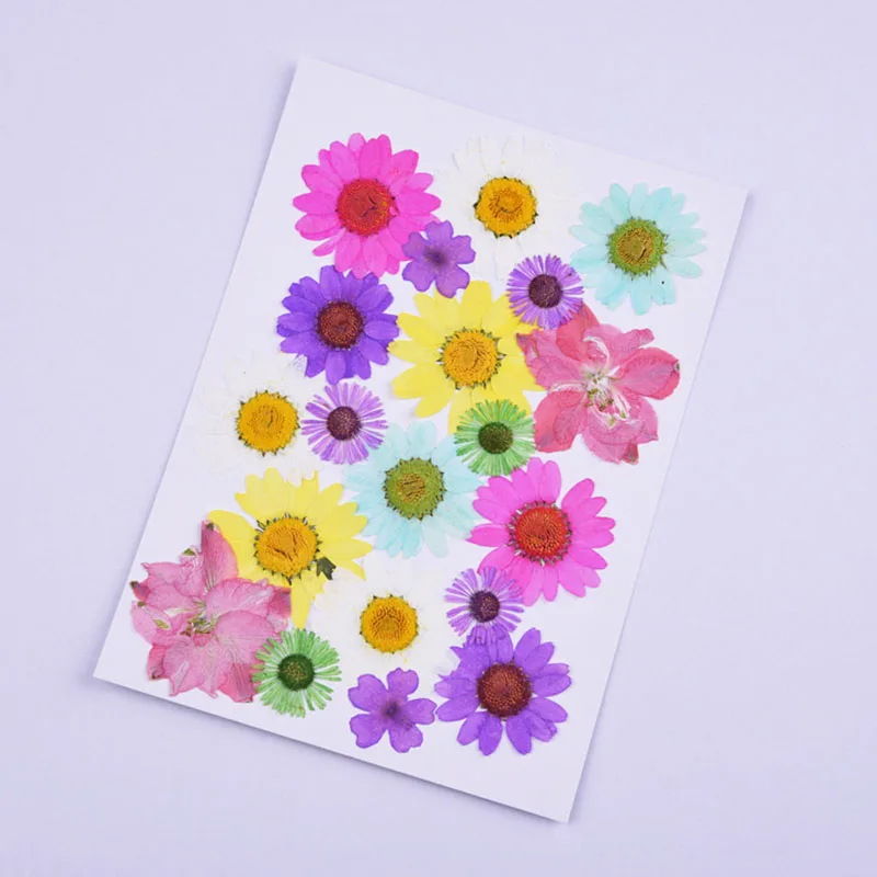 10925747859_448688674