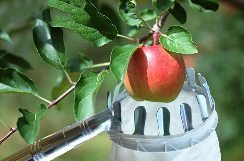 Garden Pruning Fruit Picker Basket Bag Gardening Apples Pear Peach Picking Tool High Trees Collection Gathering Hand Tools HOT