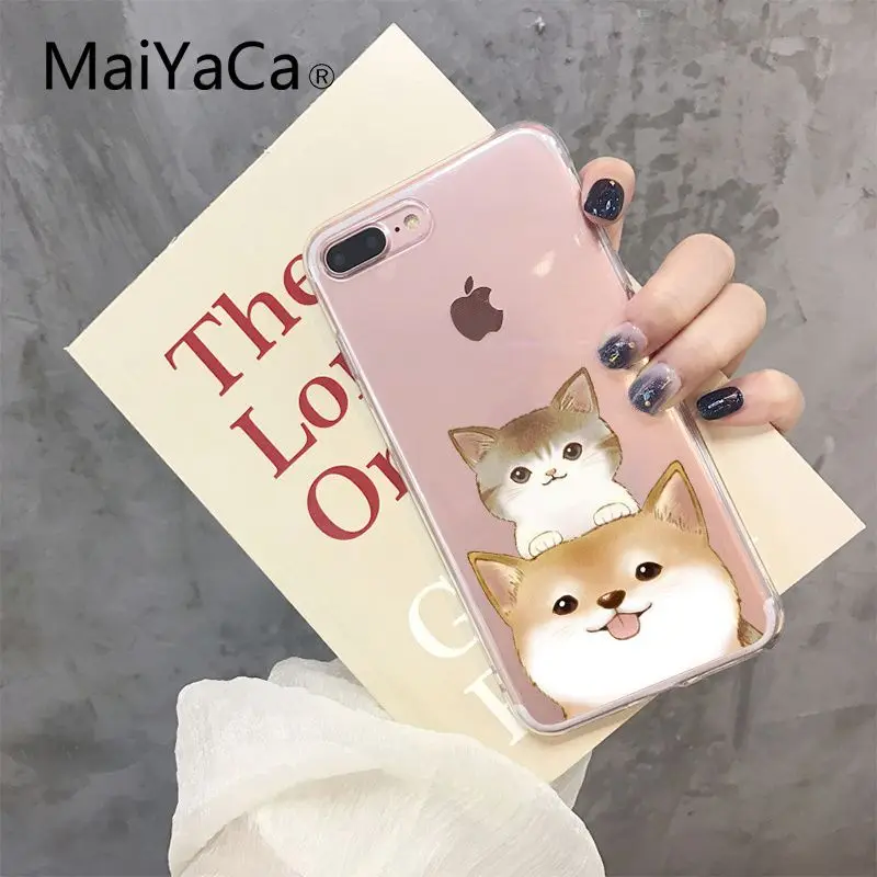 Shiba Inu Dog