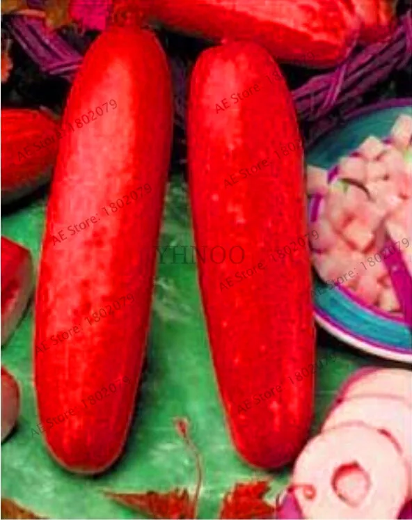 Акция! белый огурец бонсай, Cuke plant Green Vegetable flores Balcony садовые фрукты-20 шт,# FC41IH