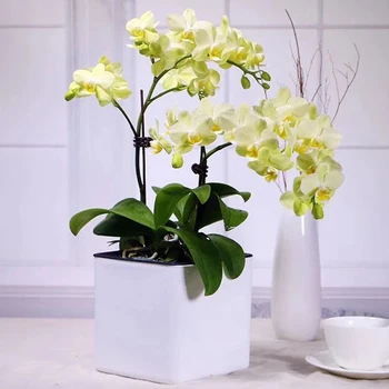 

Office Outdoor Garden Indoor Decoration Flower Pot With Water Level Indicator Plant Starter Modern Patio Practical Self Watering