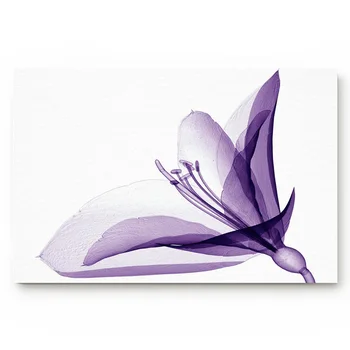 

Purple Flower Bloom Petal Art Kitchen Floor Bath Entrance Rug Mat Absorbent Indoor Bathroom Decor Doormats