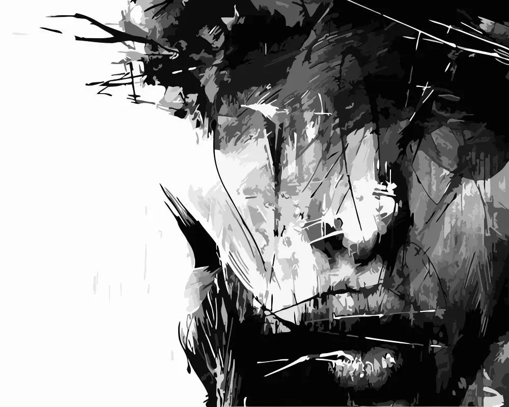 

Painting By Numbers DIY Dropshipping 40x50 60x75cm Ink black and white woman Figure Canvas Wedding Decoration Art picture Gift