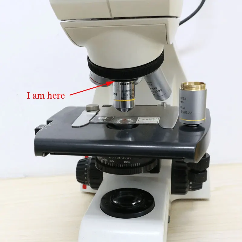 M25X0.75 резьба RMS переходное кольцо RMS объектив и микроскоп M25 резьбовое соединение для микроскопа Leica Nikon Olympus