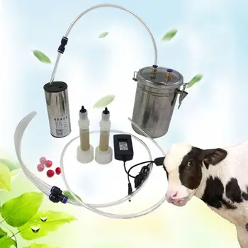 

Durable Stainless Steel 2L Electric Pulse Milking Machine Tools with Adjustable 11UA