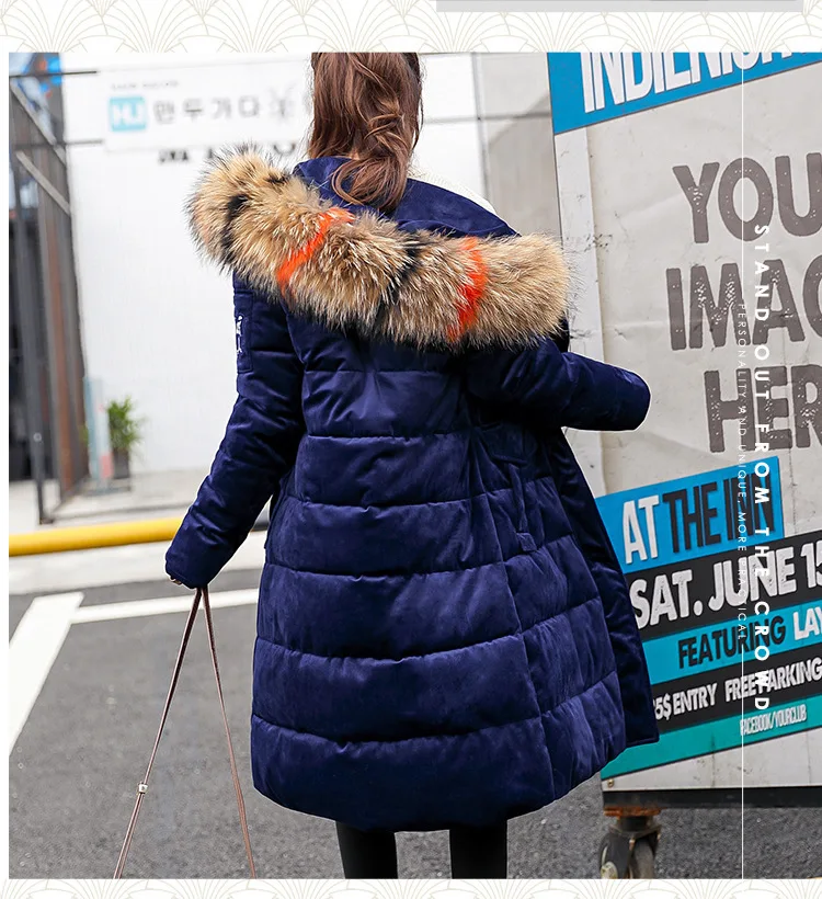 9069932377_1006637240