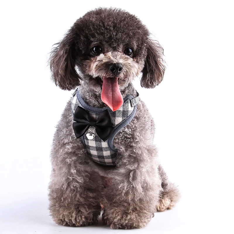 4592056394_1043553121