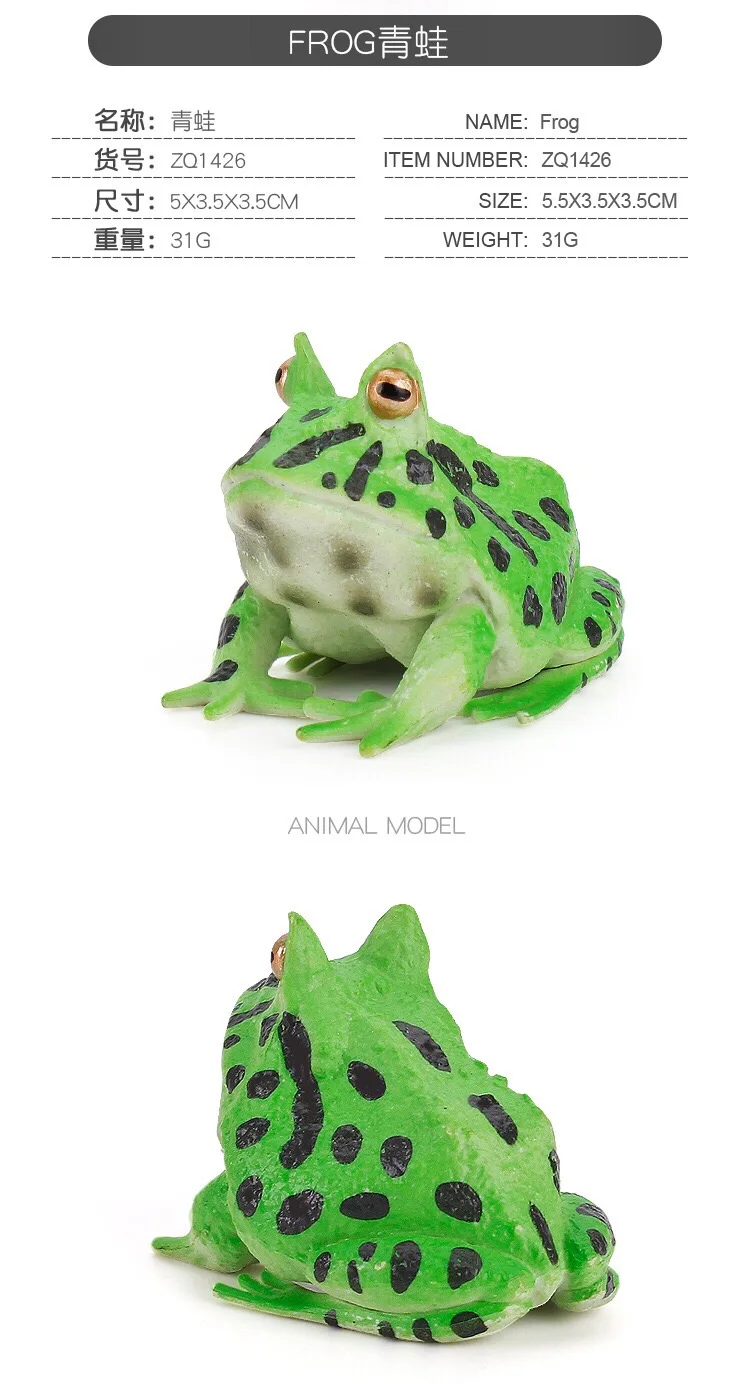 IMG_8117(20200801-160709)