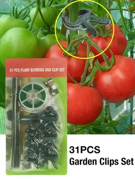 

31PCS Garden Plant Fixed Clip Support Fastener Vegetables Durable Flower Vine Lever Clips Loop Garden Greenhouse Bracket
