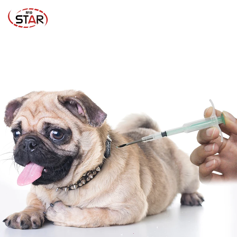 

70pcs 2.12*12mm NFC Dog Cat Pet Microchips 13.56mhz Implantable Snake Fish Cow Turtle Mouse Pig Rfid syringe For Identification