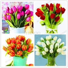 107 шт, высококачественный Цветочный сад Тюльпан Плант бонсай плантас Балконный горшок самые красивые и красочные растения бонсай