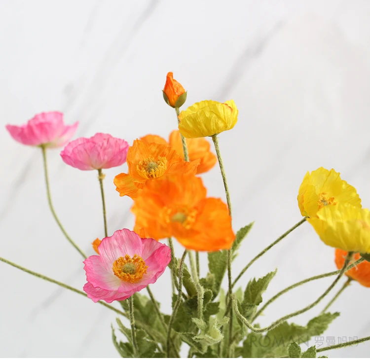 TB2XxNsf8jTBKNjSZFwXXcG4XXa_!!1135569398