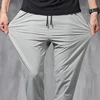 2025 New Korean Ice Silk Elastic Trousers Four Seasons Thin Casual Men'S Loose 9-Point Large Size Small Foot Sports Pants Spring 4